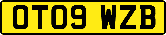 OT09WZB