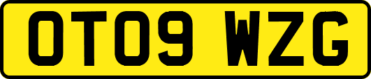 OT09WZG