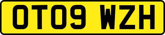 OT09WZH