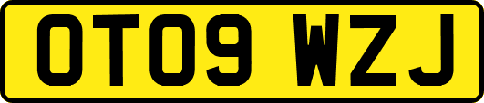 OT09WZJ