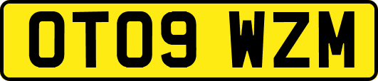OT09WZM