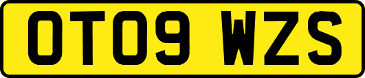 OT09WZS
