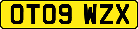 OT09WZX