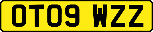 OT09WZZ