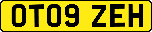 OT09ZEH
