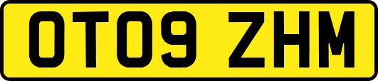 OT09ZHM