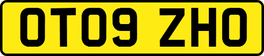 OT09ZHO