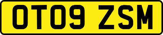 OT09ZSM