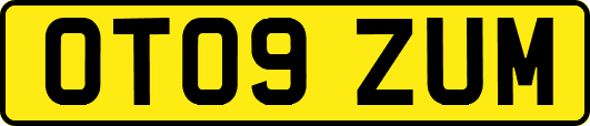 OT09ZUM