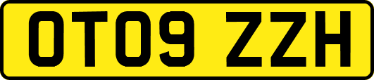 OT09ZZH