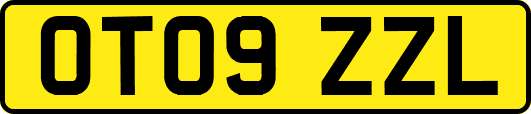 OT09ZZL