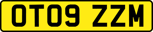 OT09ZZM