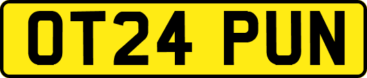 OT24PUN