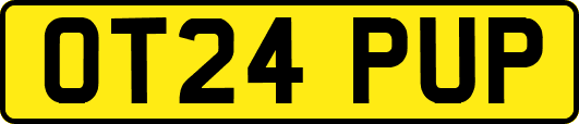 OT24PUP