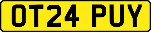 OT24PUY