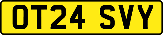 OT24SVY