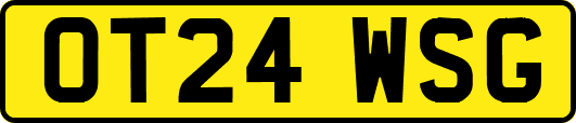 OT24WSG