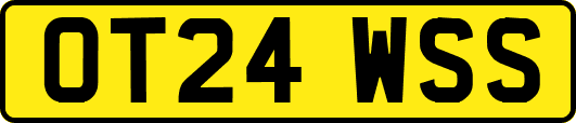 OT24WSS