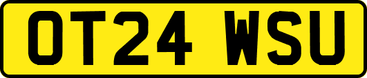 OT24WSU