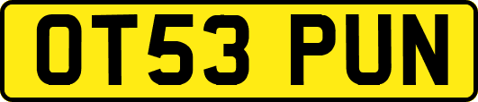 OT53PUN