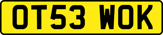 OT53WOK