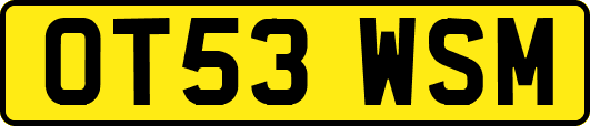 OT53WSM