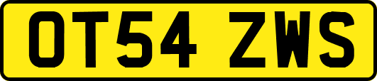OT54ZWS