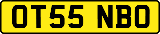 OT55NBO