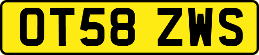 OT58ZWS