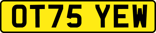 OT75YEW