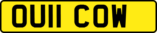 OU11COW