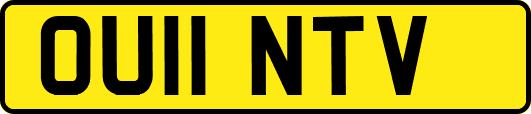 OU11NTV