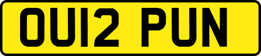 OU12PUN