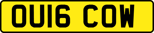 OU16COW