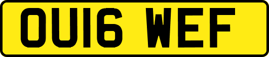 OU16WEF