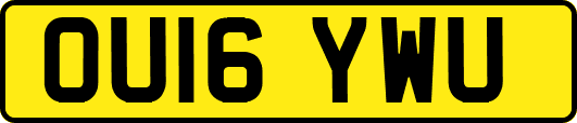 OU16YWU
