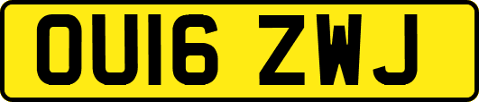 OU16ZWJ