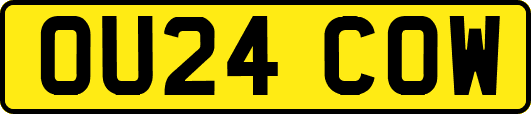 OU24COW