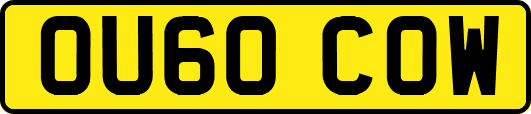 OU60COW