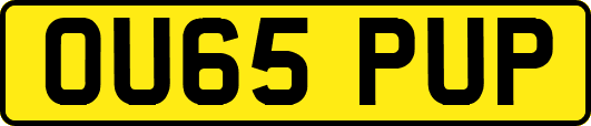 OU65PUP