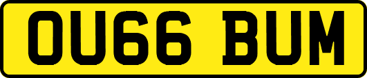 OU66BUM