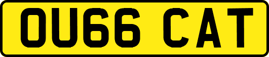 OU66CAT
