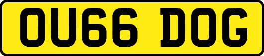 OU66DOG