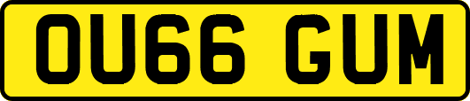 OU66GUM