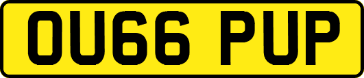 OU66PUP