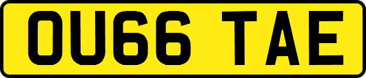 OU66TAE