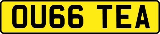 OU66TEA