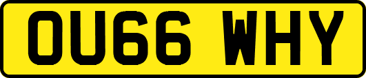 OU66WHY