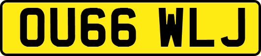 OU66WLJ