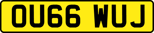 OU66WUJ